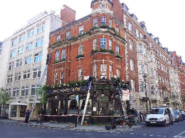 Major Plants Ltd - Before after - London - UK - Image 32