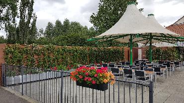 Major Plants Ltd - Gökyüzü Chingford - London - UK - Image 2
