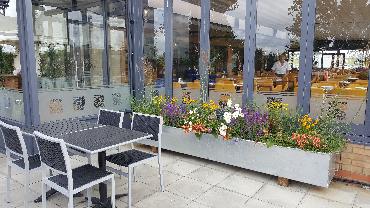 Major Plants Ltd - Gökyüzü Chingford - London - UK - Image 6