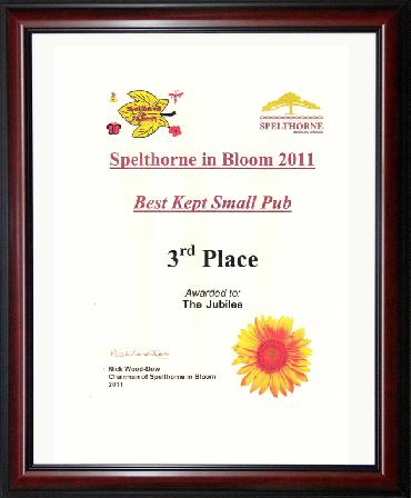 Major Plants Ltd - Hanging Basket Service Awards - London - UK - Image 11