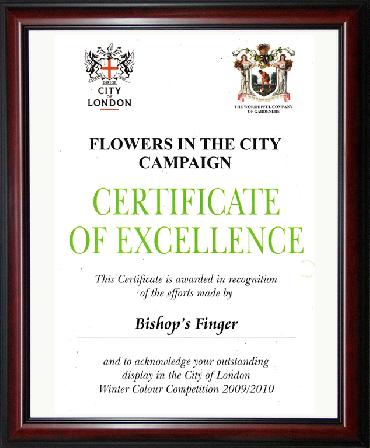Major Plants Ltd - Hanging Basket Service Awards - London - UK - Image 16