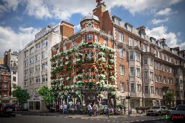 Major Plants Ltd - Hanging Basket Services - London - UK - Image 
