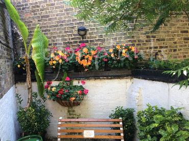 Major Plants Ltd - Hanging Basket Services - London - UK - Image 26