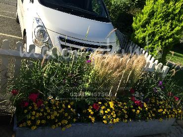 Major Plants Ltd - Hanging Basket Services - London - UK - Image 27