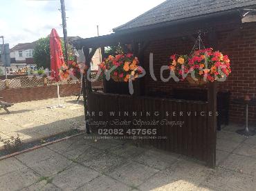 Major Plants Ltd - Hanging Basket Services - London - UK - Image 57