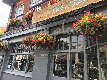 Major Plants Ltd - Hanging Basket Services - London - UK - Image 62