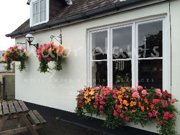 Major Plants Ltd - Hanging Basket Services - London - UK - Image 66