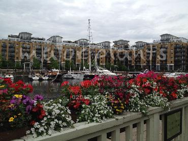 Major Plants Ltd - Hanging Basket Services - London - UK - Image 88