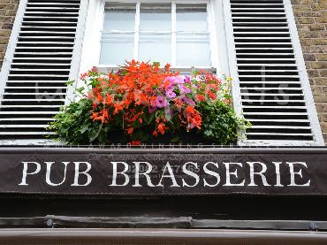 Major Plants Ltd - Hanging Basket Services - London - UK - Image 90