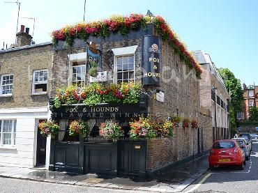Major Plants Ltd - Hanging Basket Services - London - UK - Image 97