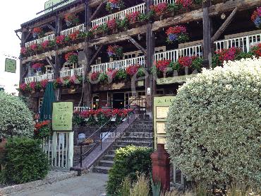 Major Plants Ltd - Hanging Basket Services - London - UK - Image 103