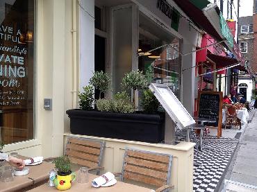 Major Plants Ltd - Herb Displays - London - UK - Image 17