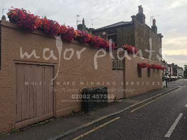 Major Plants Ltd - Our Customers - London - UK - Image 32