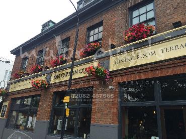Major Plants Ltd - Our Customers - London - UK - Image 45