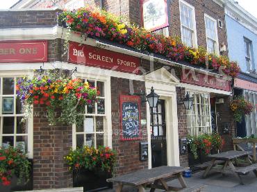 Major Plants Ltd - Our Customers - London - UK - Image 95