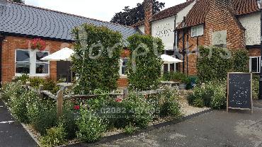 Major Plants Ltd - Pots and Troughs - London - UK - Image 13