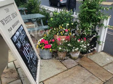 Major Plants Ltd - Pots and Troughs - London - UK - Image 22
