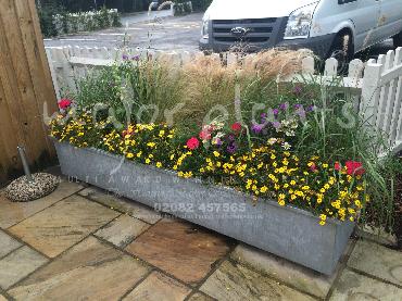 Major Plants Ltd - Pots and Troughs - London - UK - Image 23
