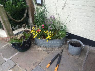 Major Plants Ltd - Pots and Troughs - London - UK - Image 30