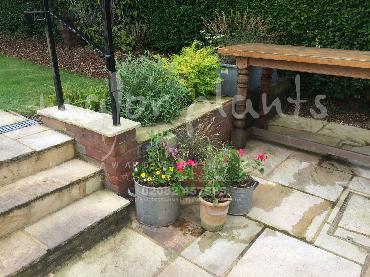 Major Plants Ltd - Pots and Troughs - London - UK - Image 33