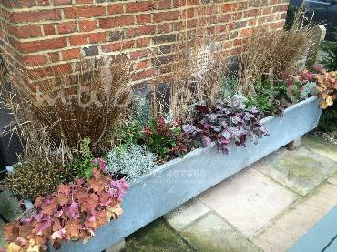 Major Plants Ltd - Pots and Troughs - London - UK - Image 69