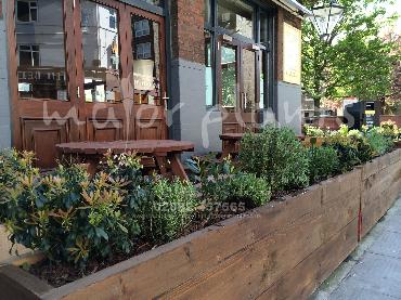 Major Plants Ltd - Pots and Troughs - London - UK - Image 138