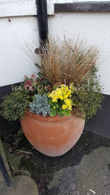 Major Plants Ltd - Pots and Troughs - London - UK - Image 156
