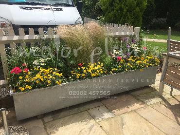 Major Plants Ltd - Pots and Troughs - London - UK - Image 161
