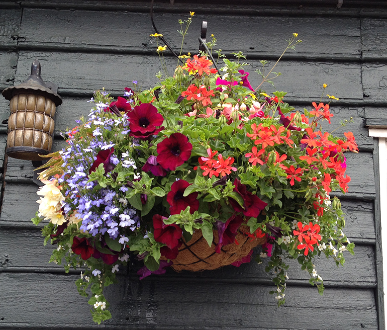 Hanging Basket Service London UK